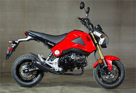 2014-2020 Honda Grom Full System