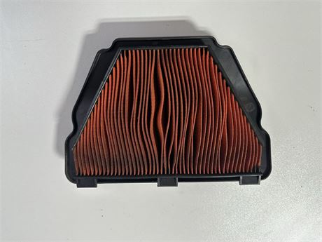 2015 - 19 Yamaha R1 OEM Air Filter