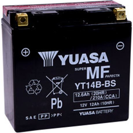 Yuasa AGM Maintenance-Free Battery