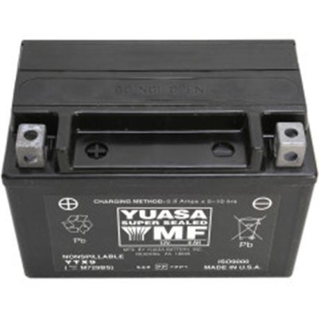 Yuasa AGM Maintenance-Free Battery