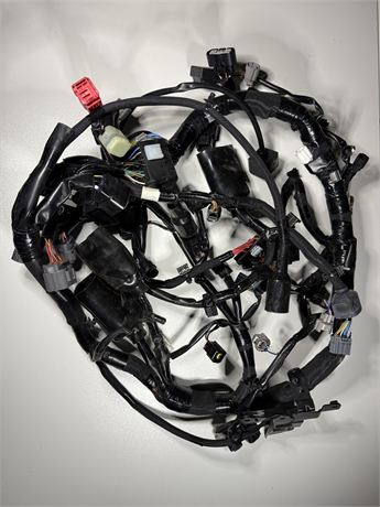 2024 - 26 Kawasaki ZX-6R Wiring Harness